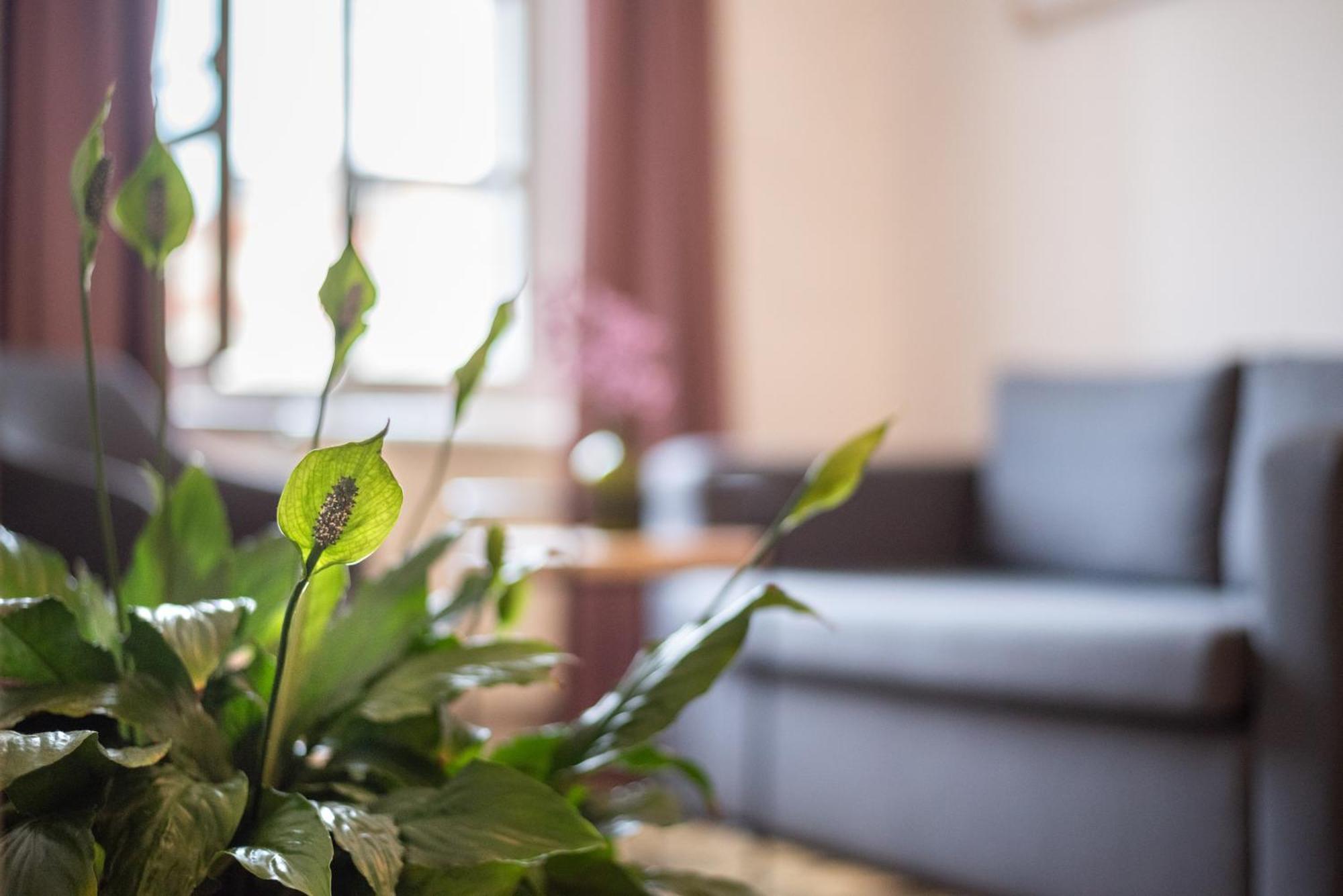 Art Hotel Tartini Piran Ngoại thất bức ảnh